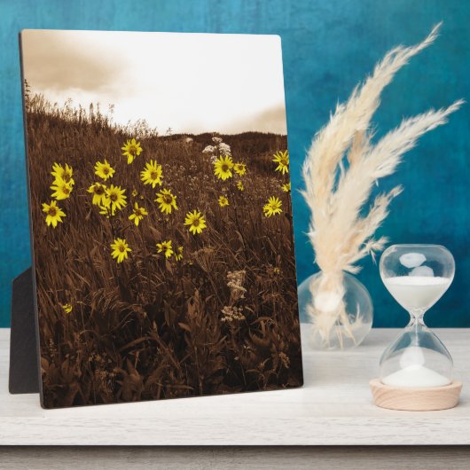 Zonnebloemen Fotoplaat (Zijkant)