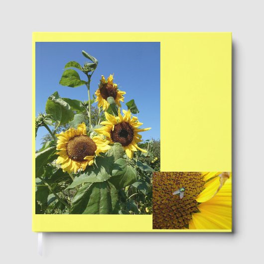 Zonnebloemen gastenboek (Voorkant)