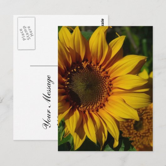 Zonnebloemen Geel Briefkaart (Voorkant / Achterkant)