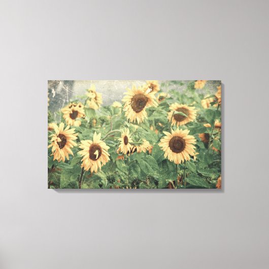 Zonnebloemen Geel  Textuur Bloemenkunst Canvas Afdruk (Voorkant)