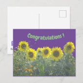 Zonnebloemen Gefeliciteerd Briefkaart (Voorkant / Achterkant)