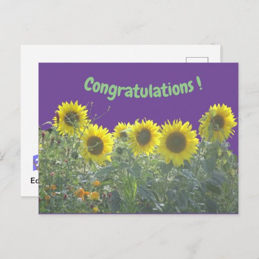 Zonnebloemen Gefeliciteerd Briefkaart (Voorkant / Achterkant)