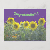 Zonnebloemen Gefeliciteerd Briefkaart (Voorkant)