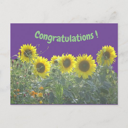 Zonnebloemen Gefeliciteerd Briefkaart (Voorkant)