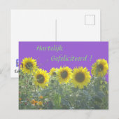 Zonnebloemen Gefeliciteerd met je verjaardag in he Briefkaart (Voorkant / Achterkant)