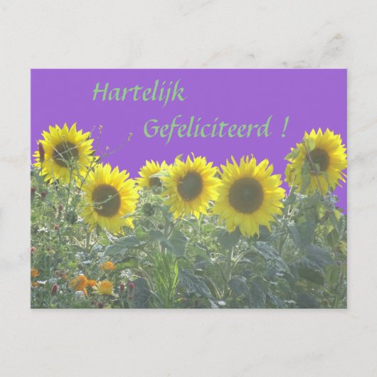 Zonnebloemen Gefeliciteerd met je verjaardag in he Briefkaart (Voorkant)