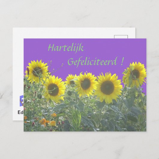 Zonnebloemen Gelukkige Verjaardag in het Nederland Briefkaart (Voorkant / Achterkant)