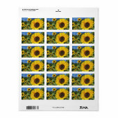 Zonnebloemen Geschilderd Hek Etiket (Full Sheet)
