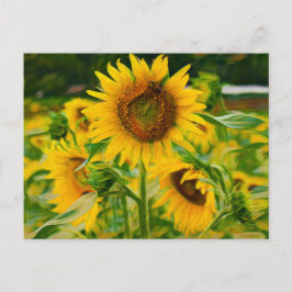 Zonnebloemen, geverfd briefkaart