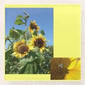 Zonnebloemen Glas Onderzetter (Voorkant)