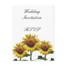 Zonnebloemen Goedkope Trouwpakketten Sets Kits