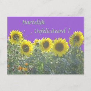 Zonnebloemen Happy Birthday in Nederlands Briefkaa Briefkaart