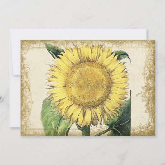  zonnebloemen - herfst herfst bruiloft bedankkaart (Achterkant)