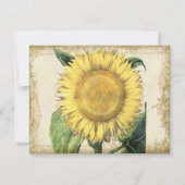  zonnebloemen - herfst herfst huwelijk kaart (Achterkant)