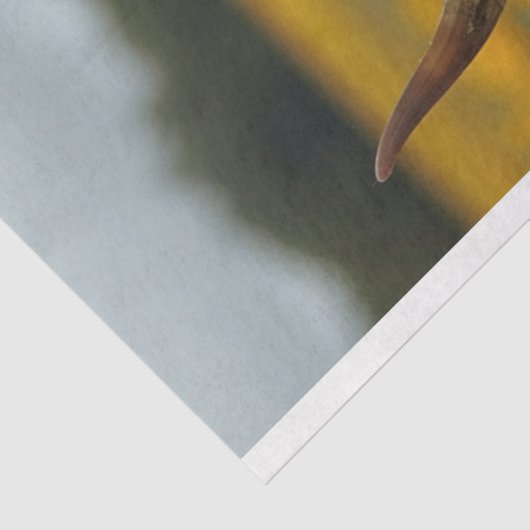 Zonnebloemen Hoogland Koe Decoupage tissuepapier (Detail)