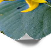 Zonnebloemen in bloemcluster - foto van dichtbij poster (Hoek)