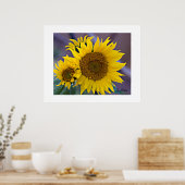 Zonnebloemen in bloemcluster - foto van dichtbij poster (Keuken)