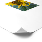 Zonnebloemen in bloemcluster - foto van dichtbij poster (Hoek)