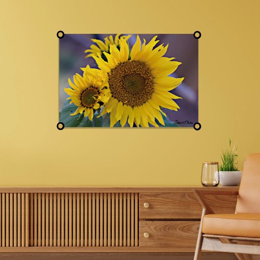 Zonnebloemen in bloemcluster - foto van dichtbij poster