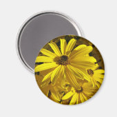 Zonnebloemen in de dierentuin magneet (Voorkant / Achterkant)