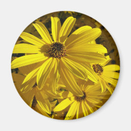 Zonnebloemen in de dierentuin magneet