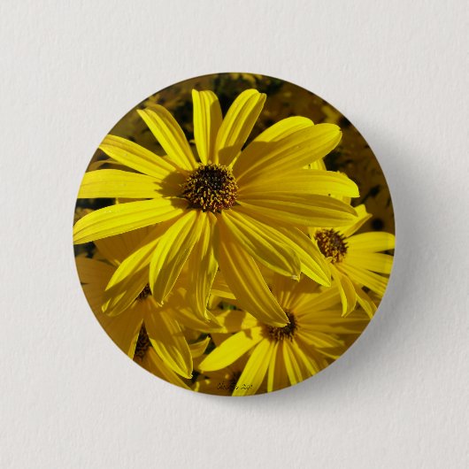 Zonnebloemen in de dierentuin ronde button 5,7 cm (Voorkant)