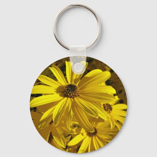 Zonnebloemen in de dierentuin sleutelhanger (Voorkant)