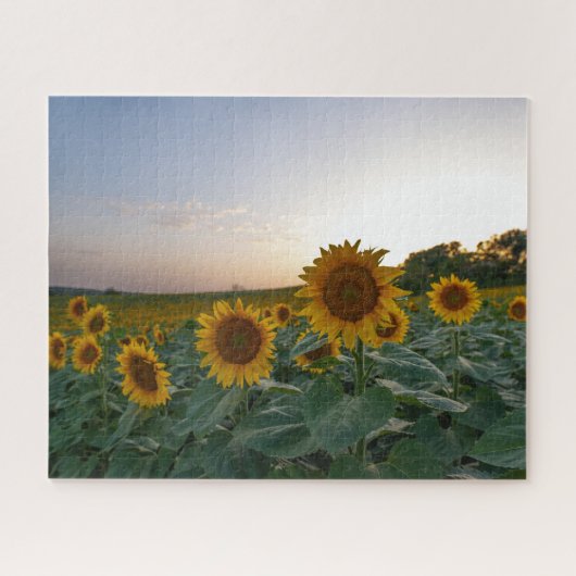 Zonnebloemen in de schemering legpuzzel (Horizontaal)