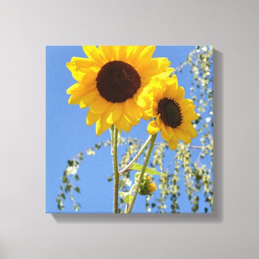 Zonnebloemen in de Sky Canvas Print (Voorkant)
