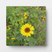 Zonnebloemen in de wind, fotoplaat (Voorkant)