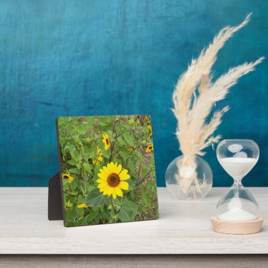 Zonnebloemen in de wind, fotoplaat (Insitu)