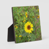 Zonnebloemen in de wind, fotoplaat (Voorkant)