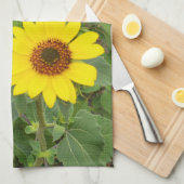 Zonnebloemen in de wind, theedoek (Quarter Fold)