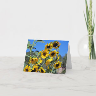 Zonnebloemen in de zon en een heldere blauwe lucht notitiekaartje