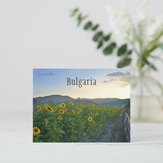 Zonnebloemen in Devin Bulgarije Briefkaart (Staand voorkant)