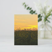 Zonnebloemen in Dusk Briefkaart (Staand voorkant)
