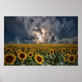 Zonnebloemen in een Storm Poster