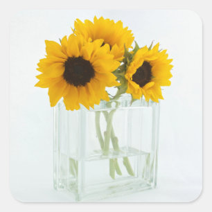 Zonnebloemen in een Vase-sticker Vierkante Sticker