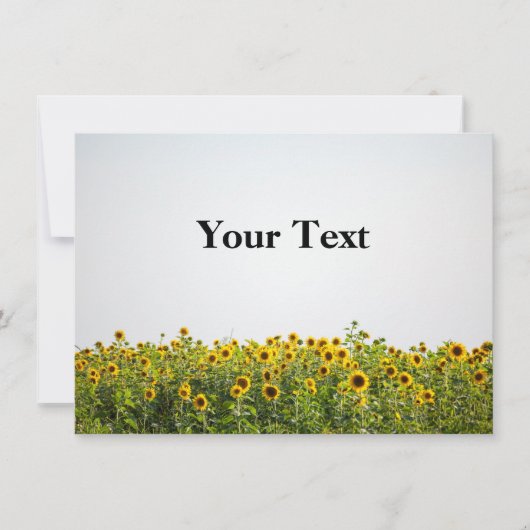 Zonnebloemen in een veld kaart (Voorkant)