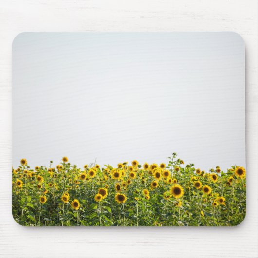 Zonnebloemen in een veld muismat (Voorkant)