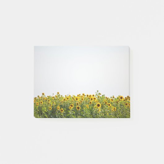 Zonnebloemen in een veld post-it® notes (Voorkant)