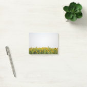 Zonnebloemen in een veld post-it® notes (Kantoor)