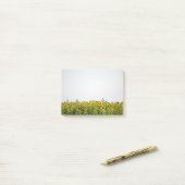 Zonnebloemen in een veld post-it® notes (Op bureau)