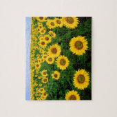 Zonnebloemen in Fargo, North Dakota Legpuzzel (Verticaal)