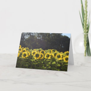 Zonnebloemen in Frankrijk Feestdagen Kaart