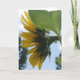 Zonnebloemen in Frankrijk Feestdagen Kaart