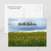 Zonnebloemen in North Dakota, Verenigde Staten Briefkaart (Voorkant / Achterkant)