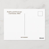 Zonnebloemen in North Dakota, Verenigde Staten Briefkaart (Achterkant)