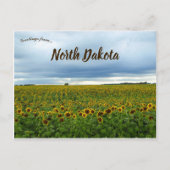 Zonnebloemen in North Dakota, Verenigde Staten Briefkaart (Voorkant)