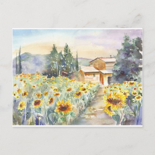 Zonnebloemen in Provence Briefkaart (Voorkant)